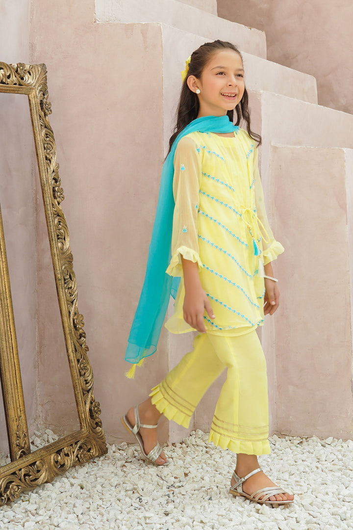 Chiffon Embroidered 3 Pc Suit - Wear Ochre