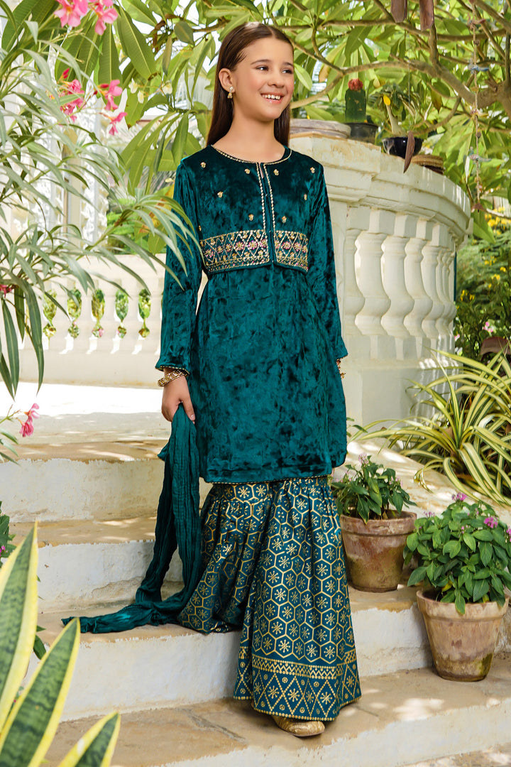 Velvet Hand Adda Work 3 Pc Suit - Wear Ochre