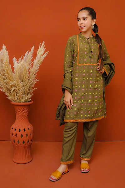Cotton Karandi Printed Co-ords