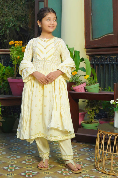 Cotton Printed 3 Pc Suit