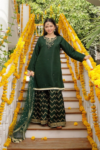 Raw Silk Hand Adda Work 3 Pc Suit