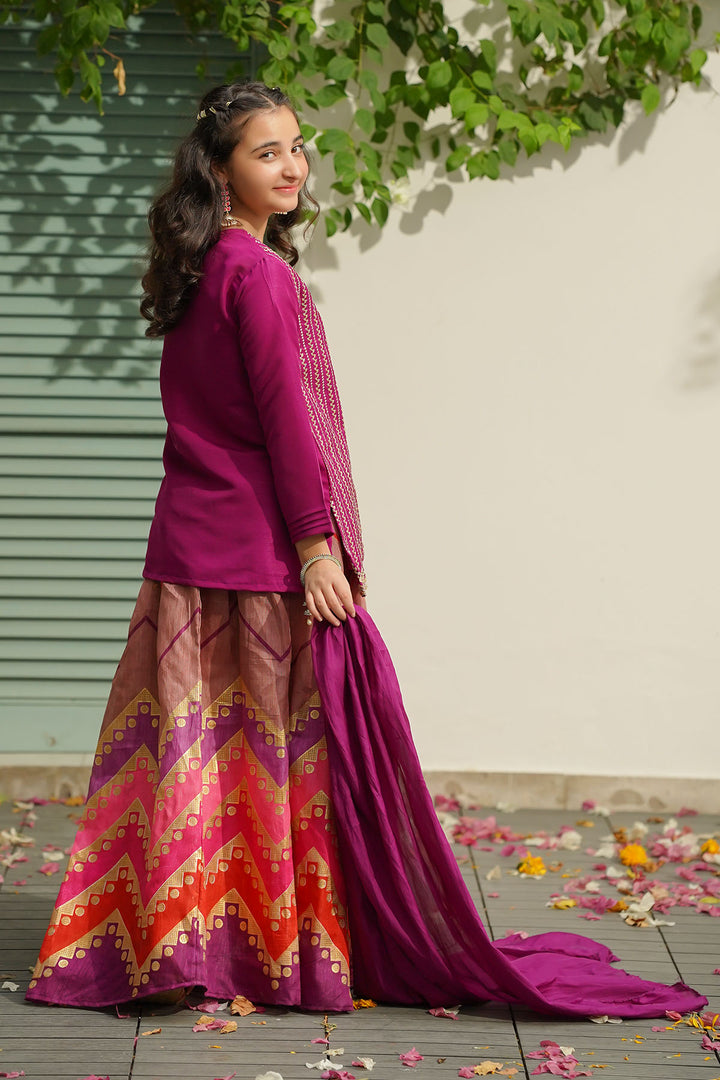 Raw Silk Embroidered 3 Pc Suit - Wear Ochre