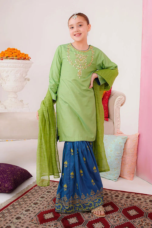Best Cotton Silk Hand Adda Work 3 Pc Suit - Wear Ochre -