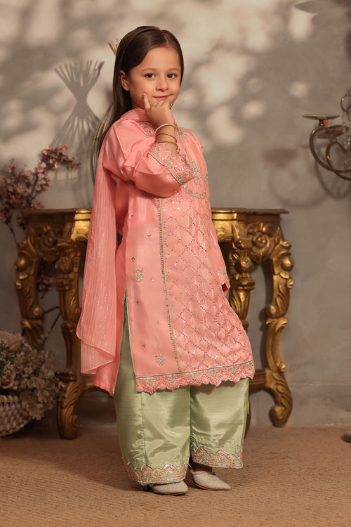 Cotton Silk Embroidered 3 Pc Suit