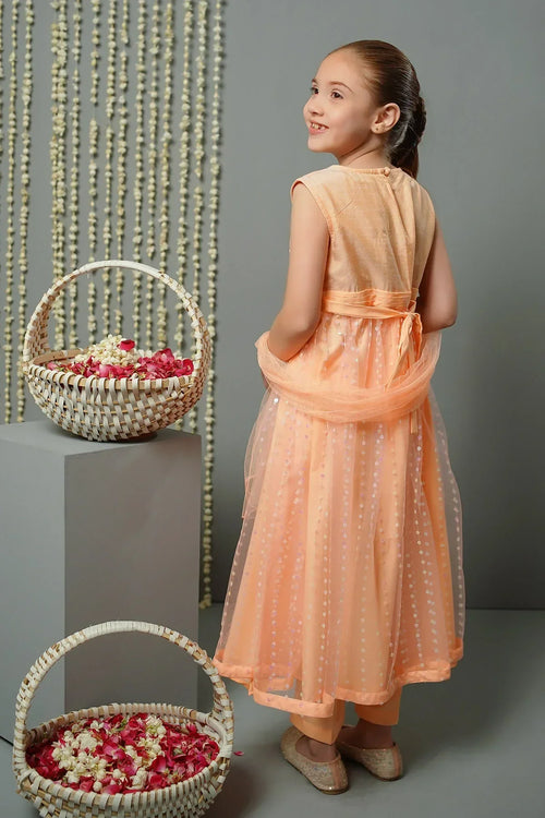 Sequence Net Hand Adda Work 3 Pc Suit - Wear Ochre