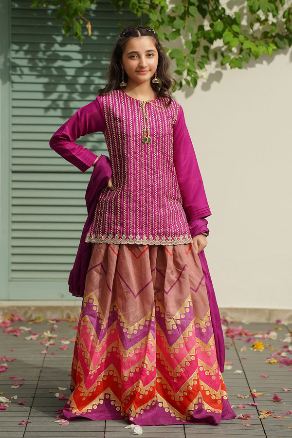 Raw Silk Embroidered 3 Pc Suit