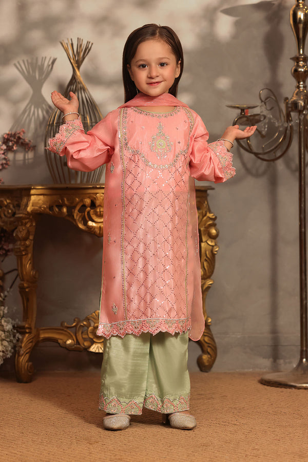 Cotton Silk Embroidered 3 Pc Suit