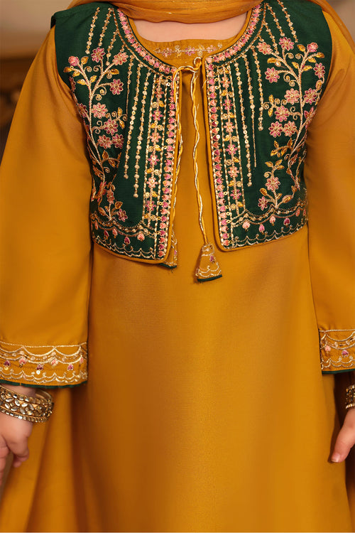 Raw Silk Embroidered 3 Pc Suit