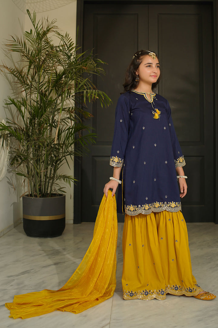 Raw Silk Embroidered 3 Pc Suit - Wear Ochre