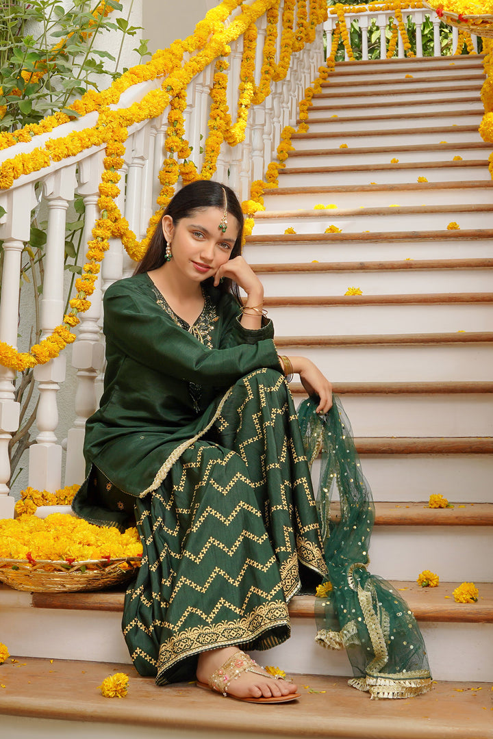 Raw Silk Hand Adda Work 3 Pc Suit - Wear Ochre