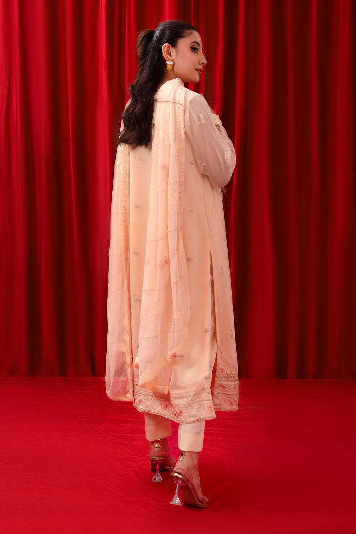 Chiffon Adda + Embroidered 3 Pc Suit - Wear Ochre