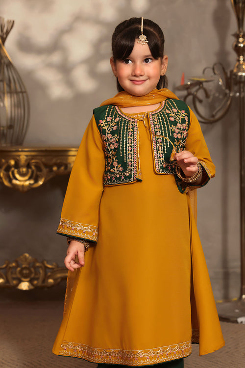 Raw Silk Embroidered 3 Pc Suit