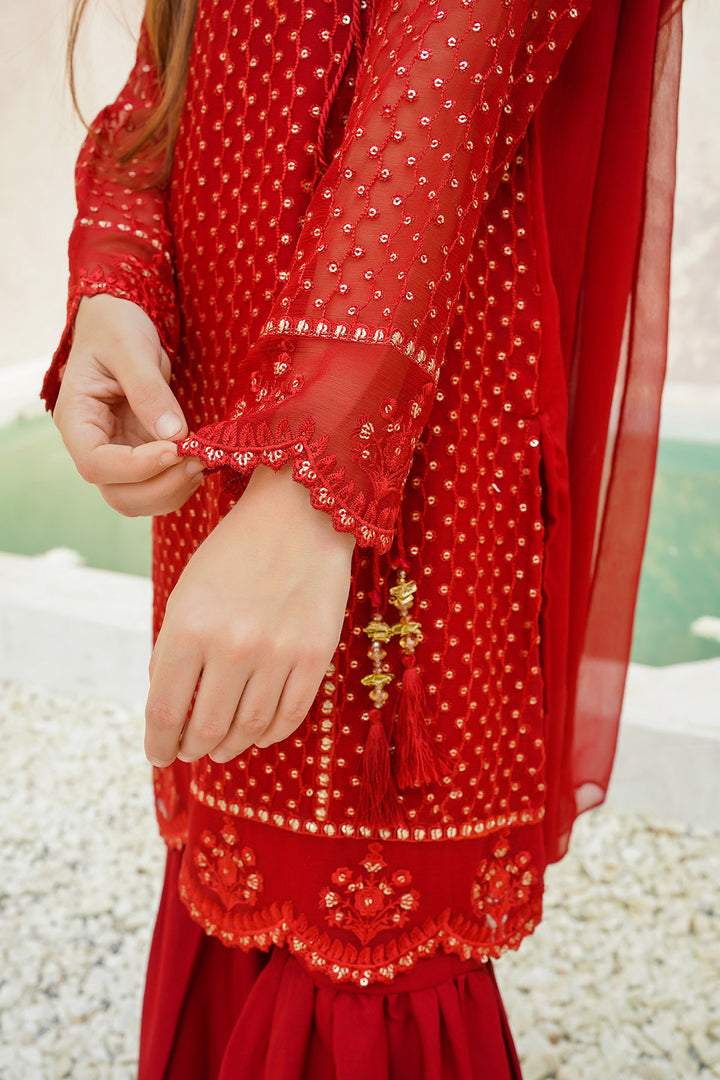 Chiffon Embroidered 3 Pc Suit - Wear Ochre