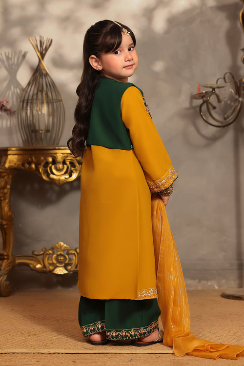 Raw Silk Embroidered 3 Pc Suit