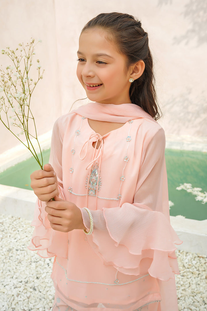 Chiffon Hand Adda Work 3 Pc Suit - Wear Ochre