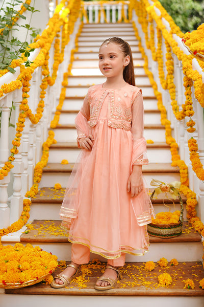 Net Embroidered 3 Pc Suit