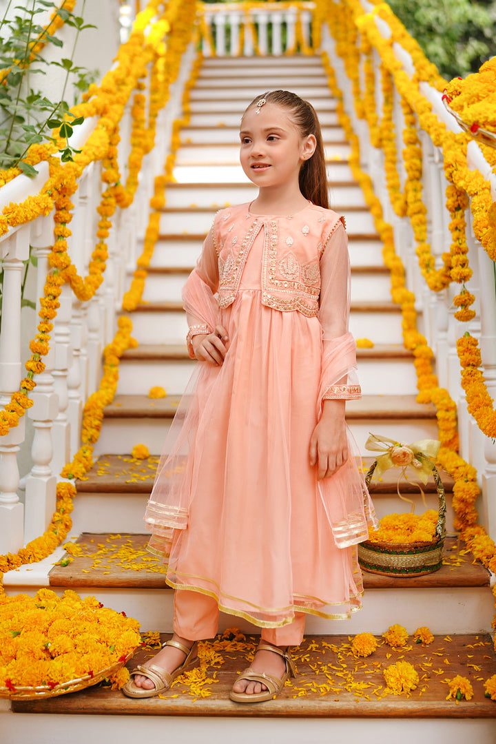 Net Embroidered 3 Pc Suit - Wear Ochre