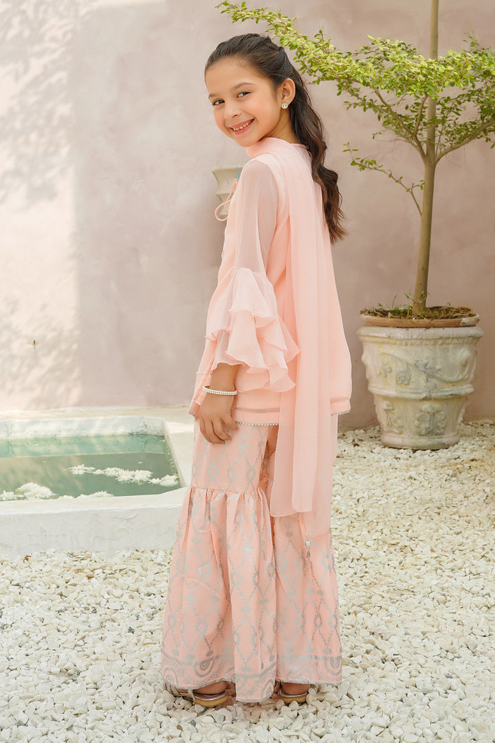 Chiffon Hand Adda Work 3 Pc Suit - Wear Ochre
