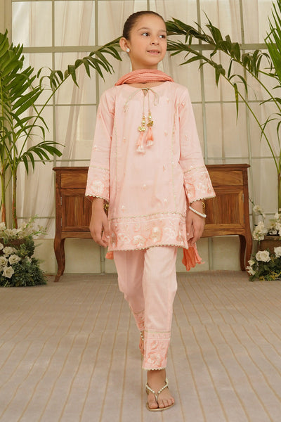 Cotton Embroidered 3 Pc Suit