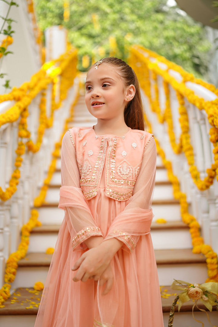 Net Embroidered 3 Pc Suit - Wear Ochre