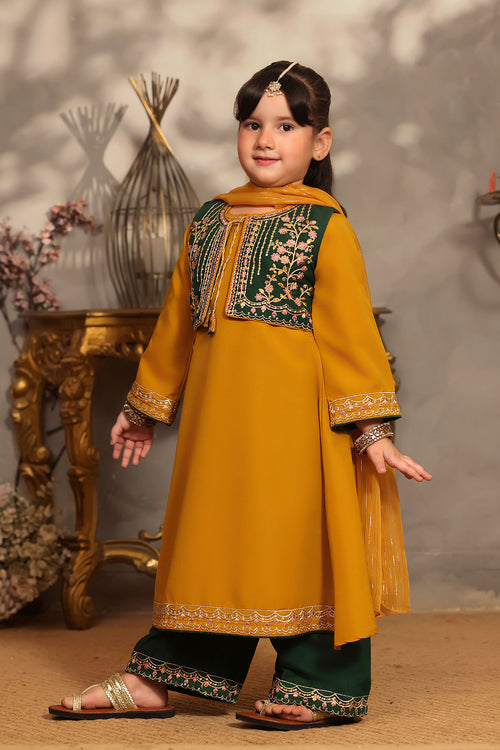 Raw Silk Embroidered 3 Pc Suit