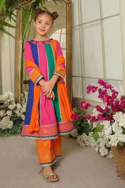 Cotton Printed 3 Pc Suit