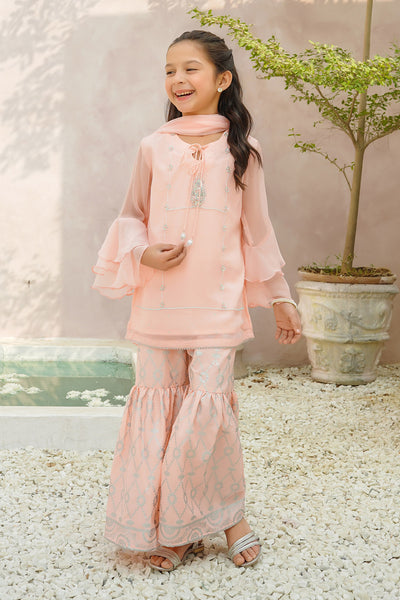 Chiffon Hand Adda Work 3 Pc Suit