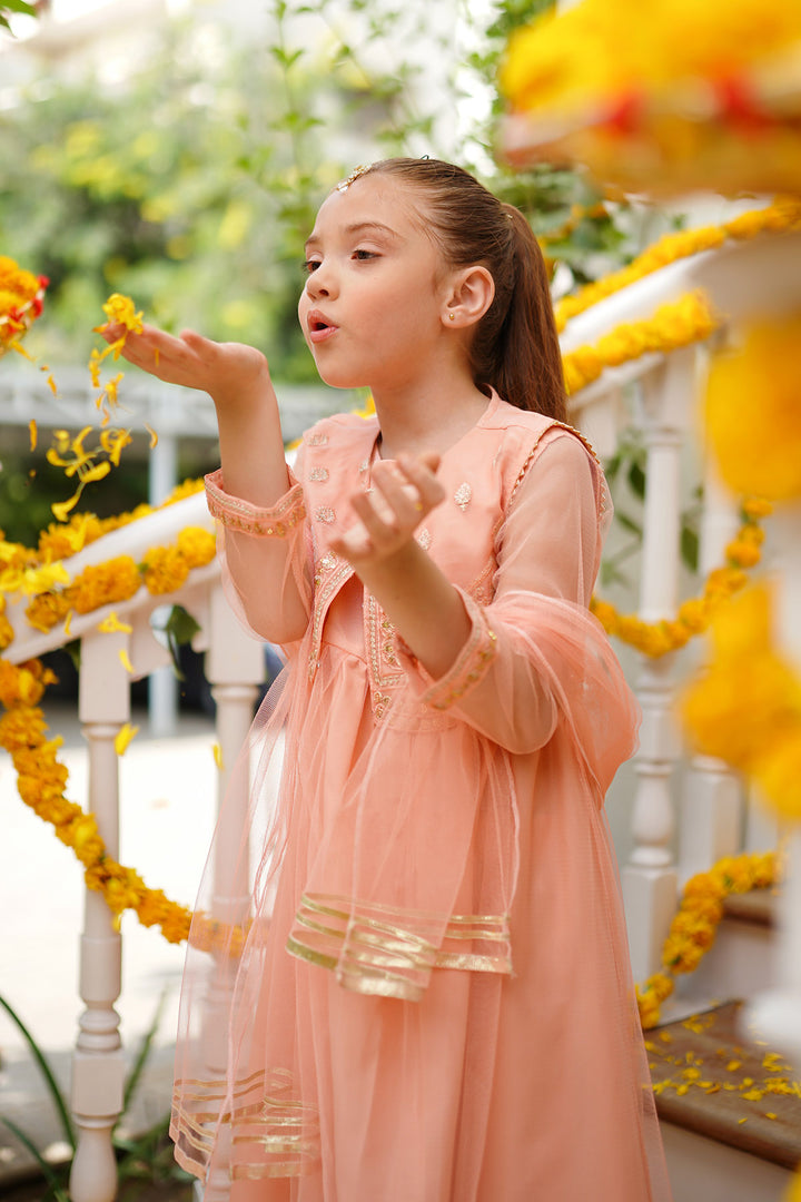 Net Embroidered 3 Pc Suit - Wear Ochre
