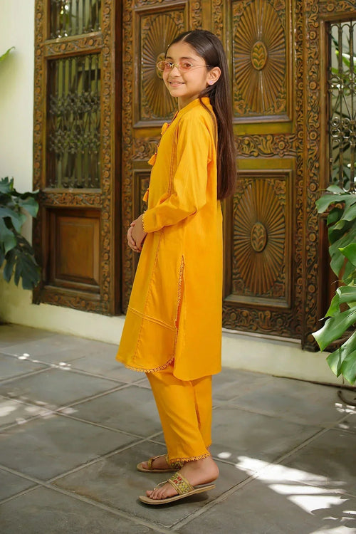 Best Dobby Cotton Embellished 2 Pc Suit - Wear Ochre -