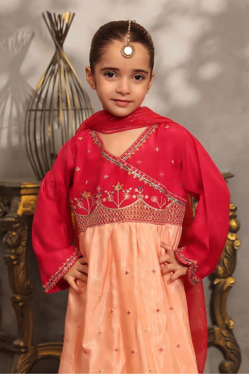 Cotton Silk Embroidered 3 Pc Suit