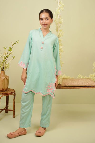Cotton Embroidered 2 Pc Suit