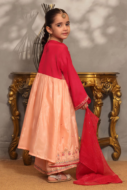 Cotton Silk Embroidered 3 Pc Suit