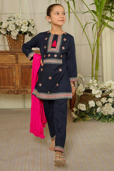 Cotton Embroidered 3 Pc Suit