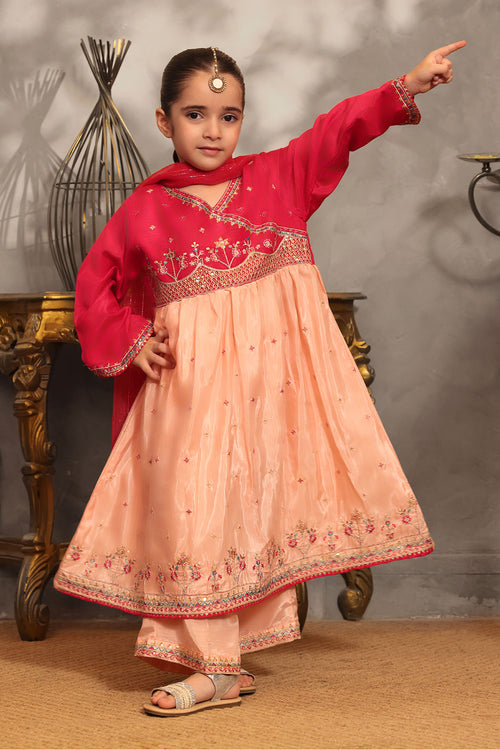 Cotton Silk Embroidered 3 Pc Suit