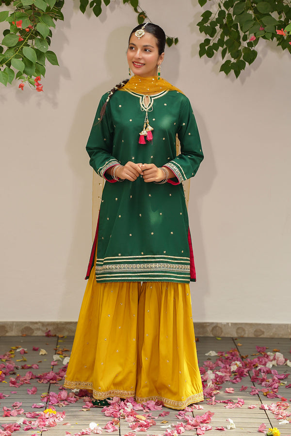 Raw Silk Embroidered 3 Pc Suit