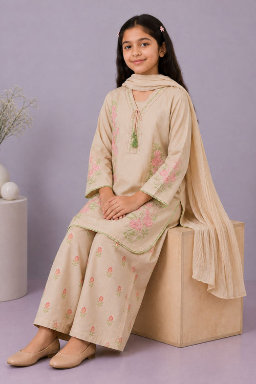 Cotton Embroidered 3 Pc Suit