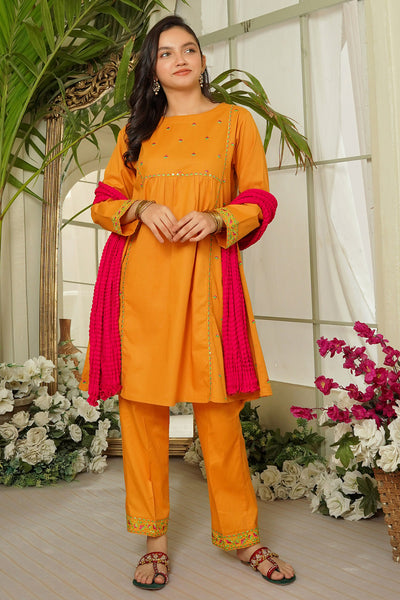 Chiffon Embroidered 3 Pc Suit