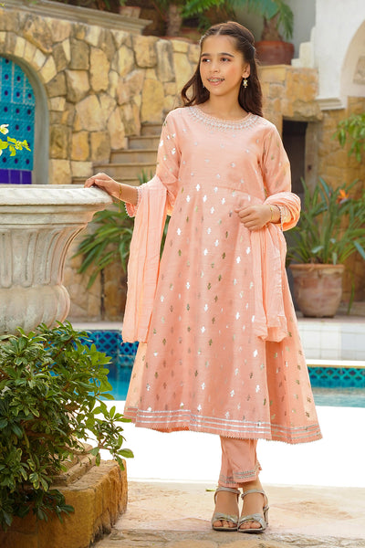 Slub Manar Hand Adda Work 3 Pc