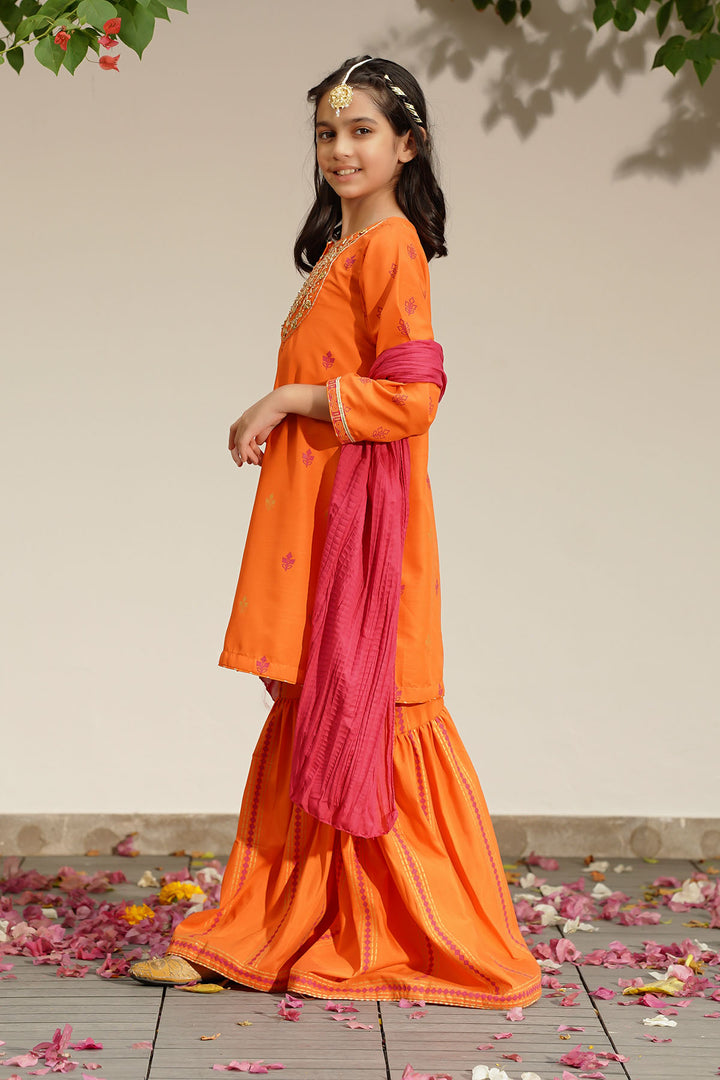 Raw Silk Hand Adda Work 3 Pc Suit - Wear Ochre