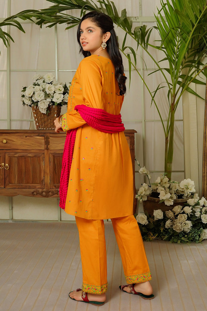 Chiffon Embroidered 3 Pc Suit - Wear Ochre