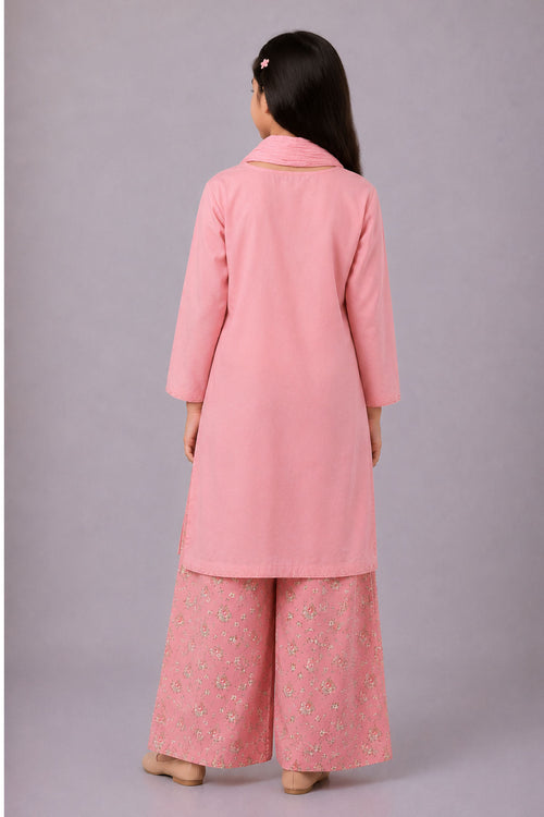 Cotton Embroidered 3 Pc Suit