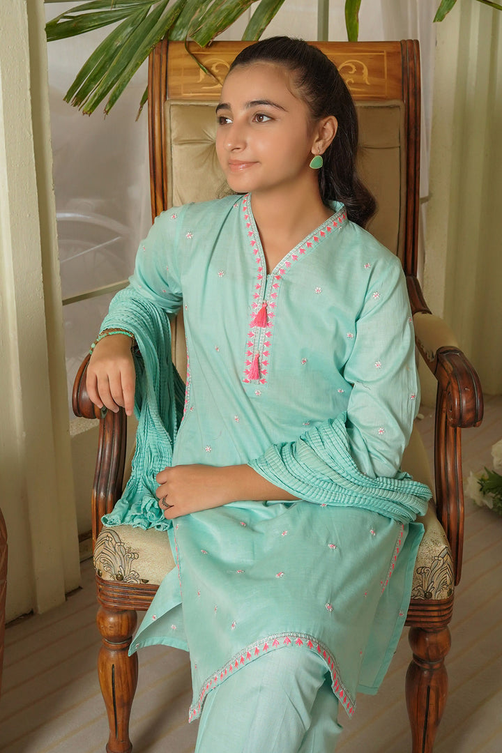 Cotton Embroidered 3 Pc Suit - Wear Ochre