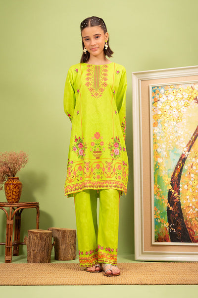 Lawn Digital Printed 2 Pc Suit