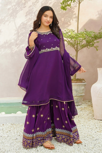 Chiffon Hand Adda Work 3 Pc Suit