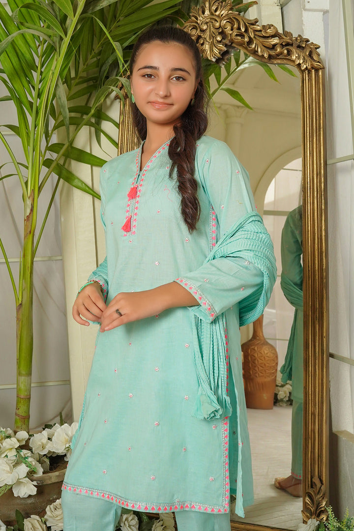 Cotton Embroidered 3 Pc Suit - Wear Ochre