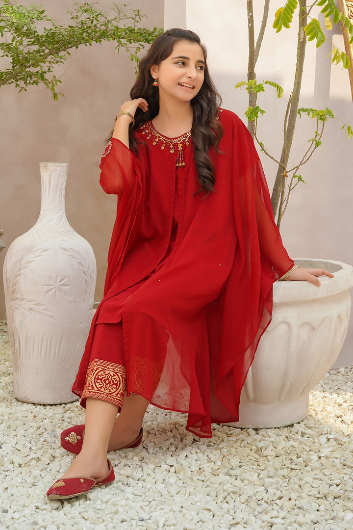 Chiffon Hand Adda Work 2 Pc Suit - Wear Ochre
