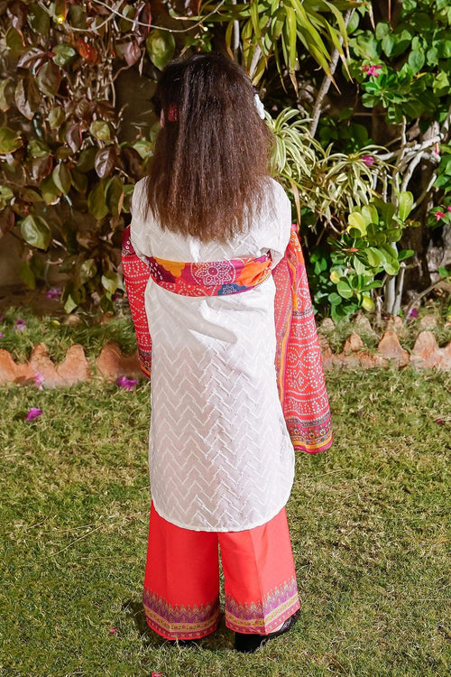 Best Chikankari Embroidered 3 Pc Suit - Wear Ochre -