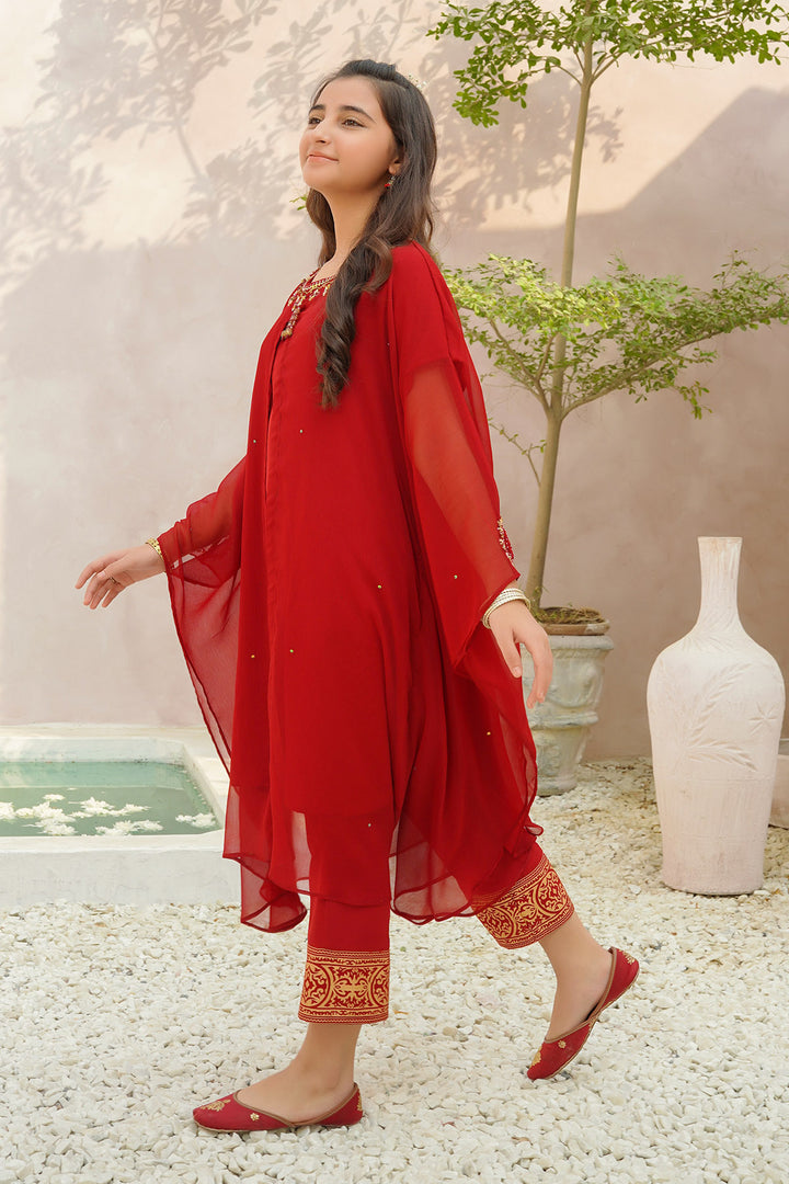 Chiffon Hand Adda Work 2 Pc Suit - Wear Ochre