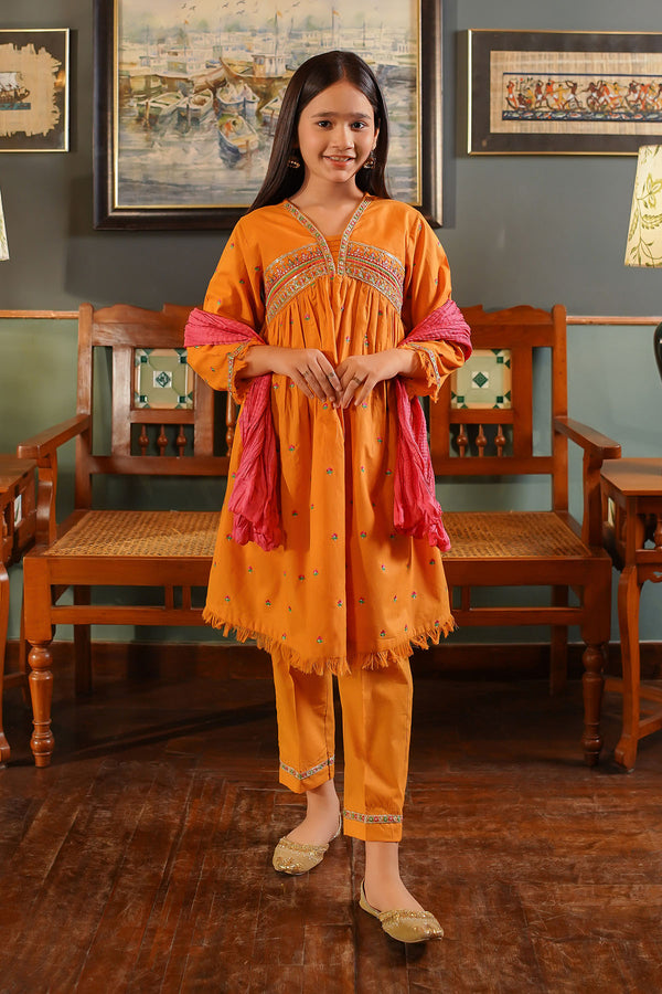 Cotton Embroidered 3 Pc Suit