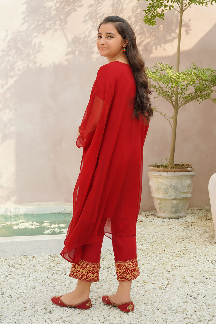 Chiffon Hand Adda Work 2 Pc Suit - Wear Ochre